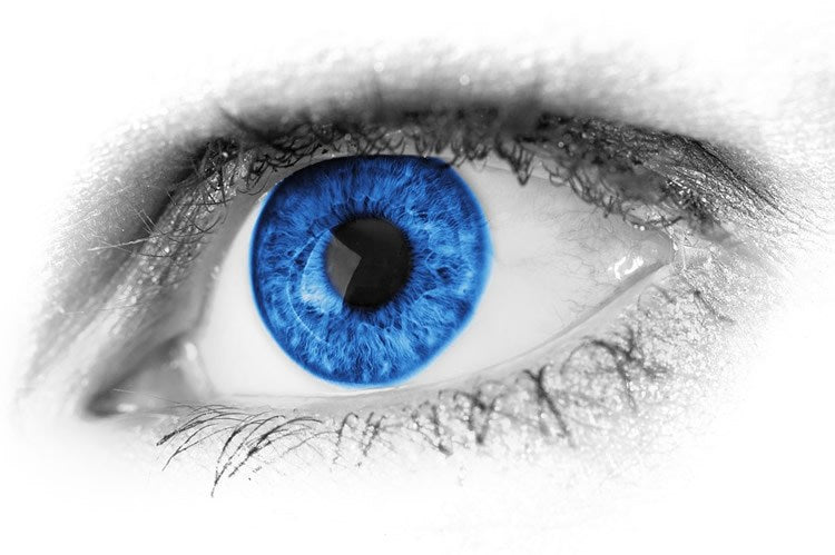 Blue Light, Alzheimers and Eye Disease.